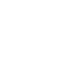 white ship icon